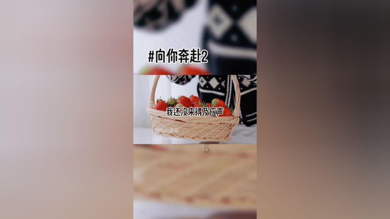 超三国无双2
