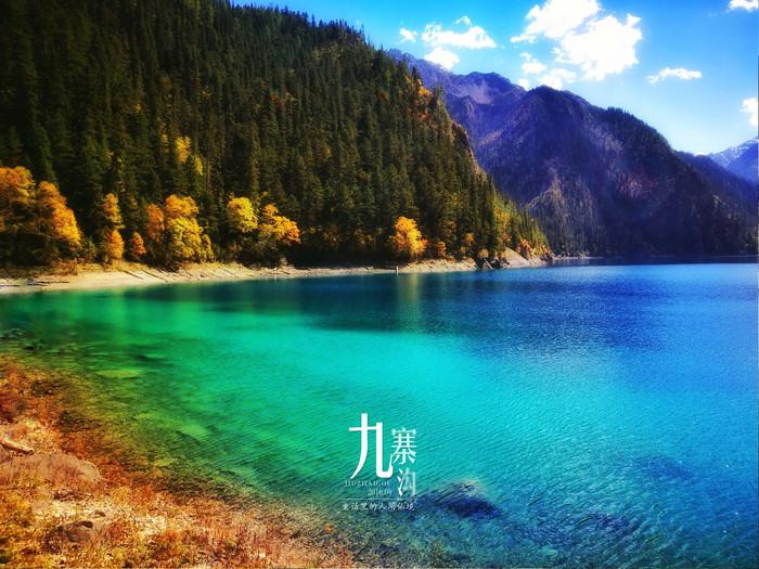 沪江开心词场