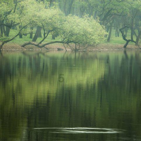 亚当寻找夏娃7
