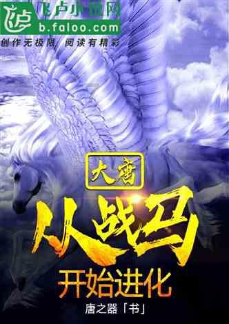 迷室The Room
